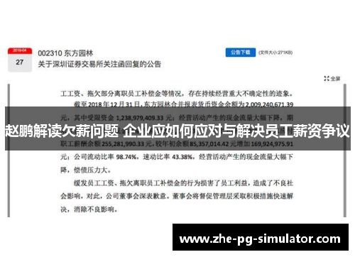 赵鹏解读欠薪问题 企业应如何应对与解决员工薪资争议