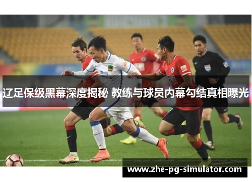 辽足保级黑幕深度揭秘 教练与球员内幕勾结真相曝光