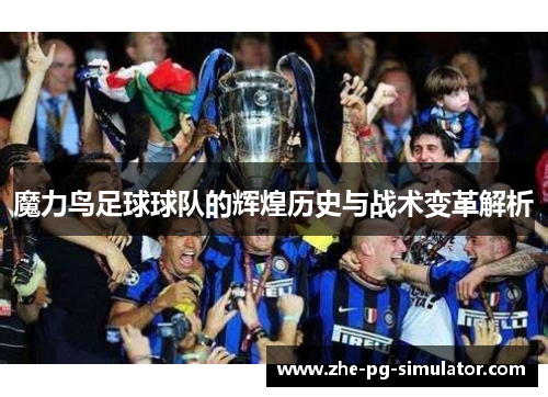 魔力鸟足球球队的辉煌历史与战术变革解析