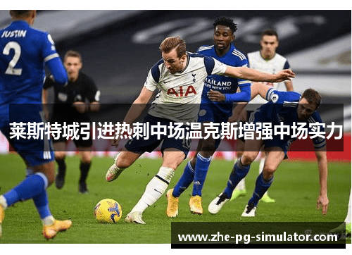 莱斯特城引进热刺中场温克斯增强中场实力 莱斯特城引进热刺中场温克斯增强中场实力