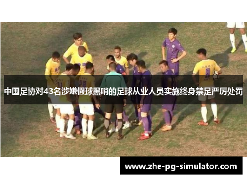 中国足协对43名涉嫌假球黑哨的足球从业人员实施终身禁足严厉处罚 中国足协对43名涉嫌假球黑哨的足球从业人员实施终身禁足严厉处罚